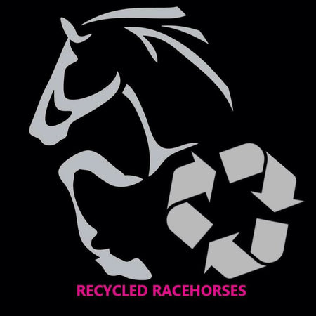 Recycled Racehorses 