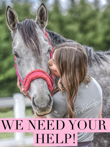 DONATE NOW - Help Support Recycled Racehorses