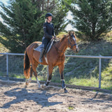 Berrima Star aka Phillip