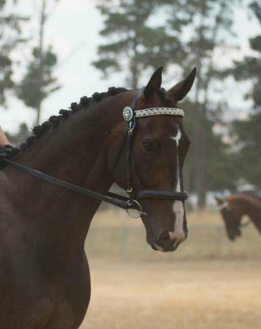 Persian Gambler aka Big John & Jack